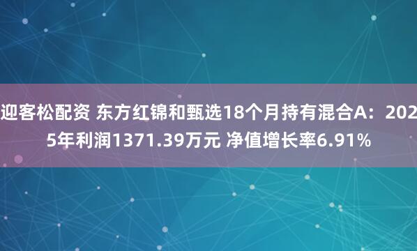 迎客松配资 东方红锦和甄选18个月持有混合A：2025年利润1371.39万元 净值增长率6.91%
